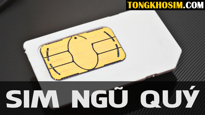 sim ngũ quý
