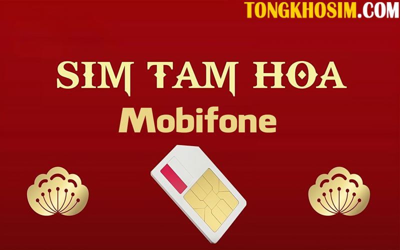 sim tam hoa mobifone