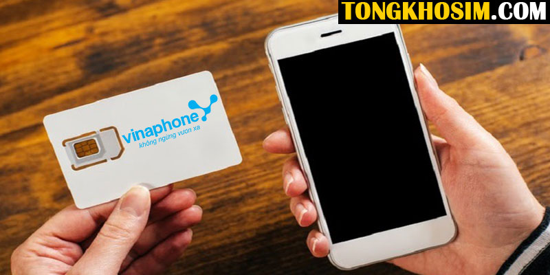 chọn mua sim vinaphone theo nhu cầu sử dụng