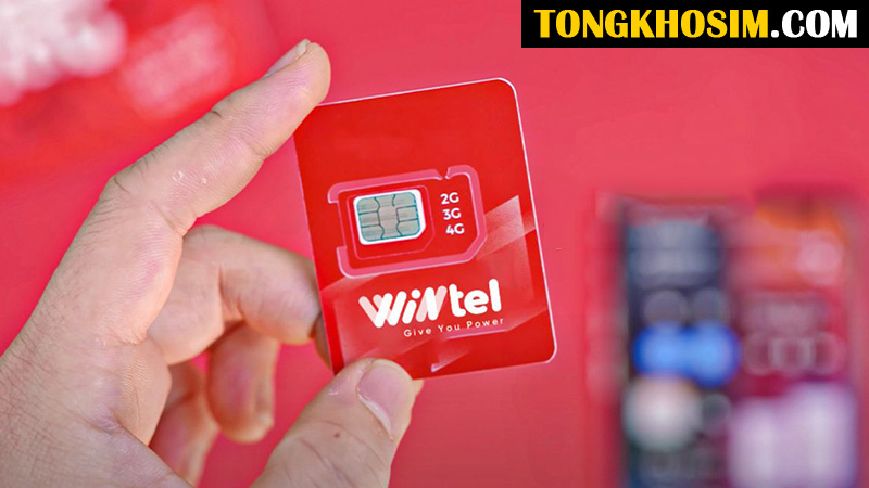 sim wintel