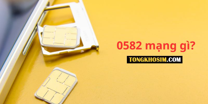 0582 mạng gì? Tìm hiểu ý nghĩa chi tiết của đầu số sim này
